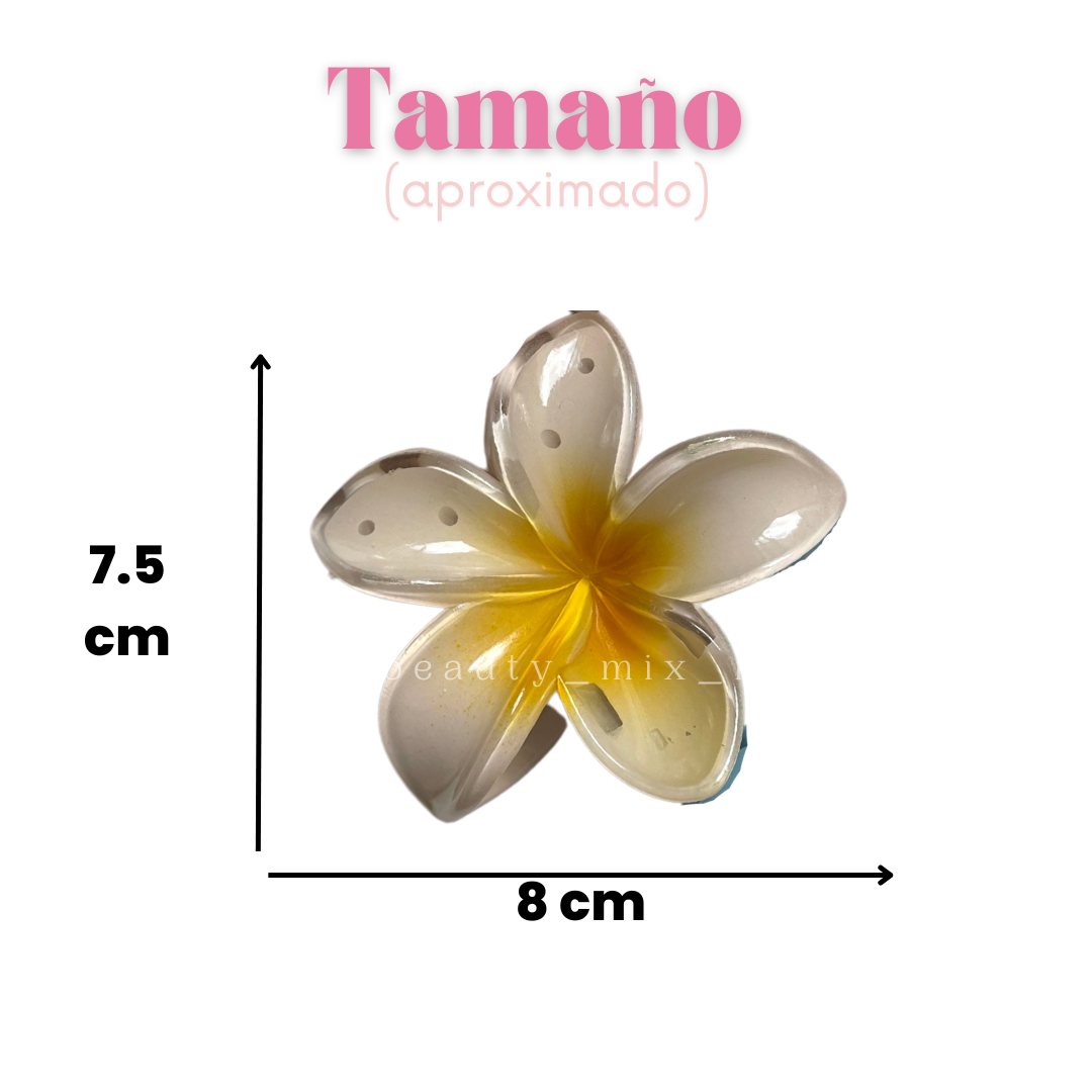 Pinzas flor tropical