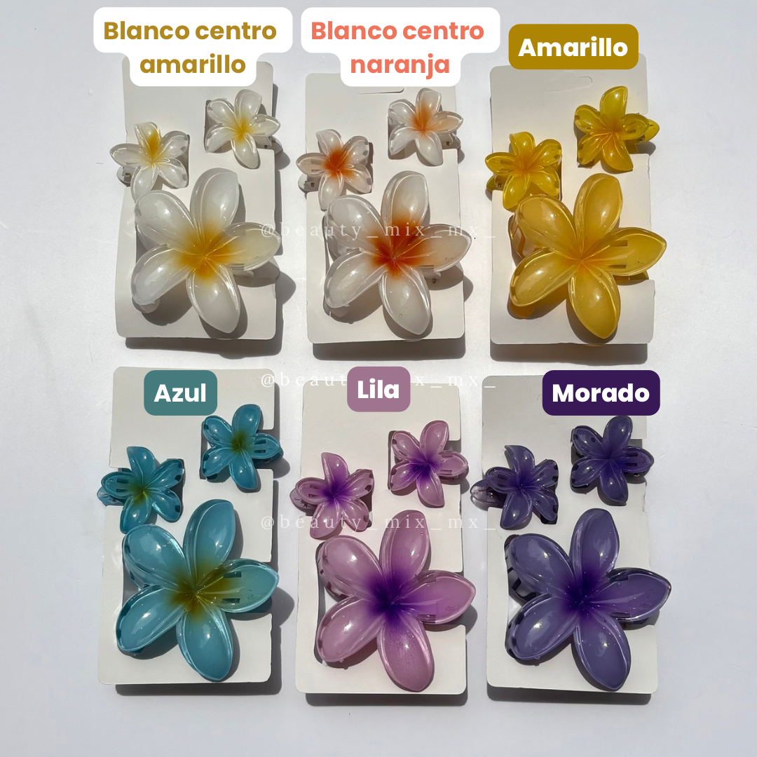 Set pinza flor tropical/hawaiana