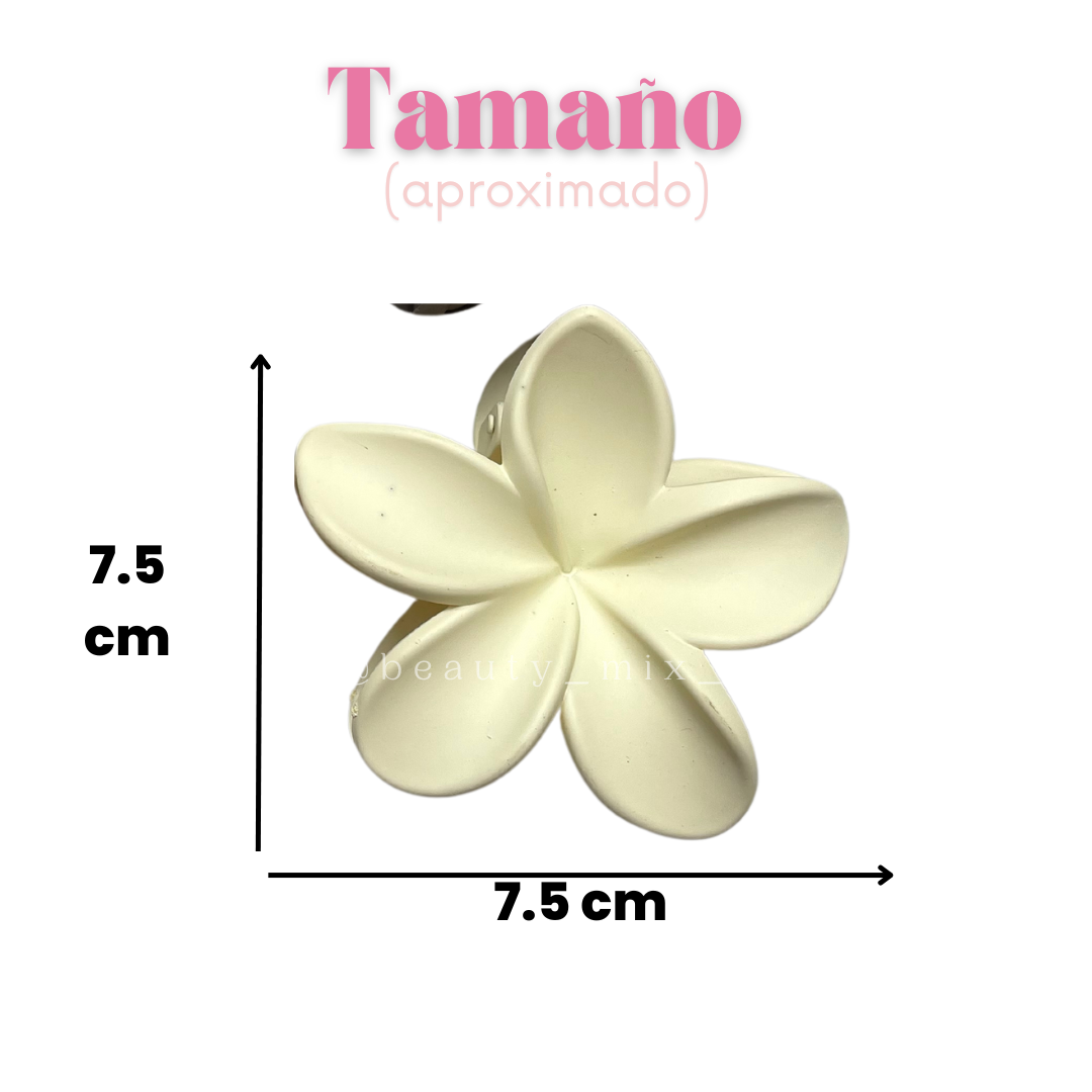 Pinzas flor tropical neutra