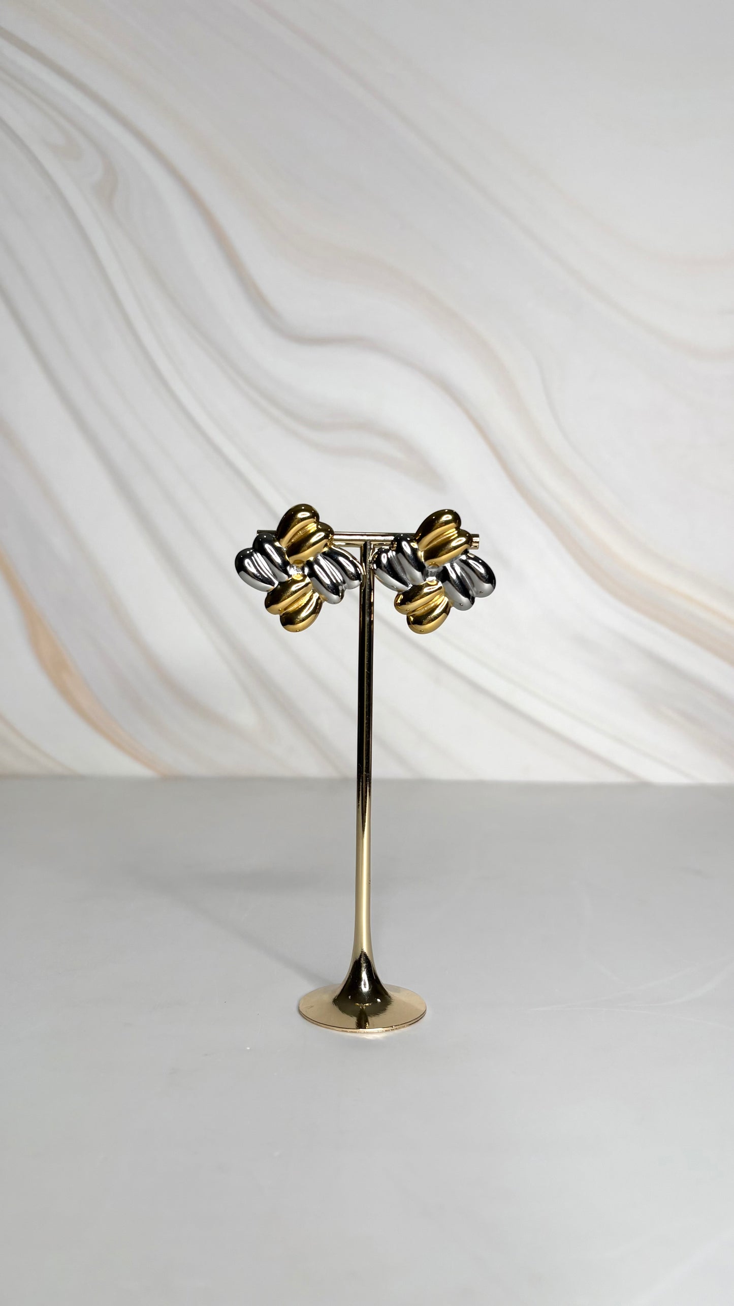 Aretes 67 Bicolor