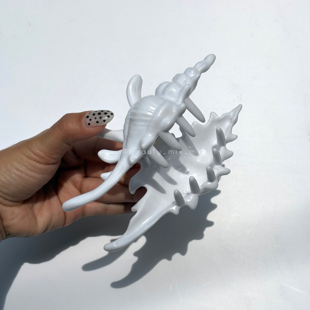 Pinza caracol blanco